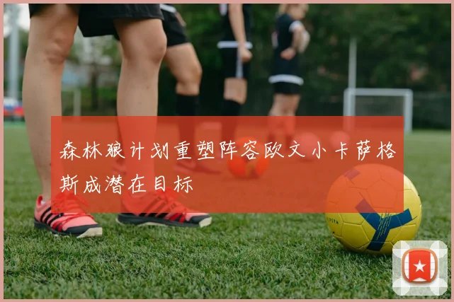 森林狼计划重塑阵容欧文小卡萨格斯成潜在目标